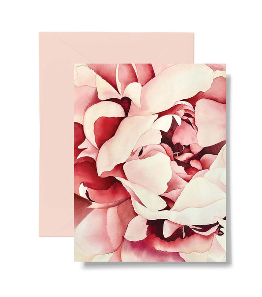 Pink Peony Closeup Card