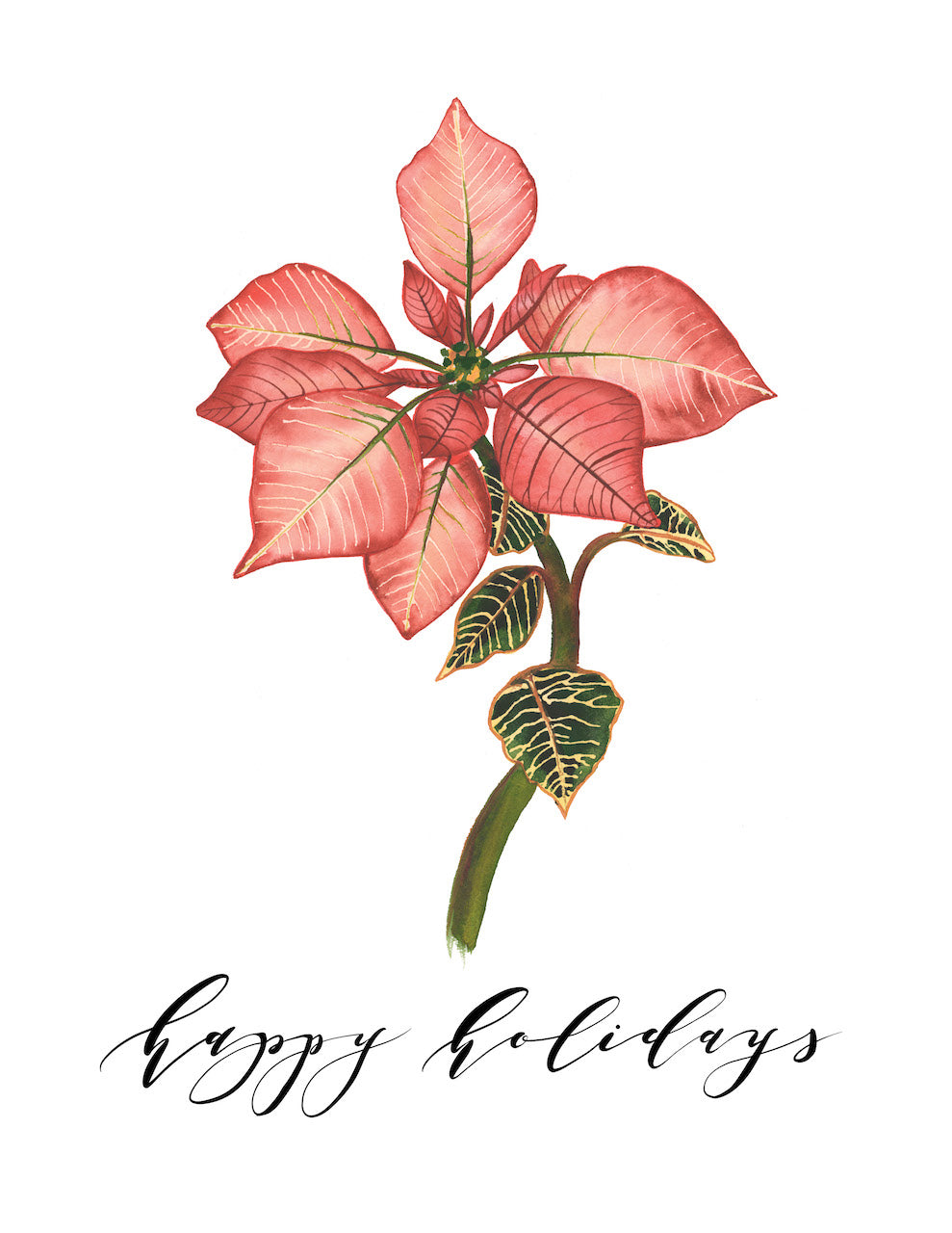 Poinsettia Holiday Card