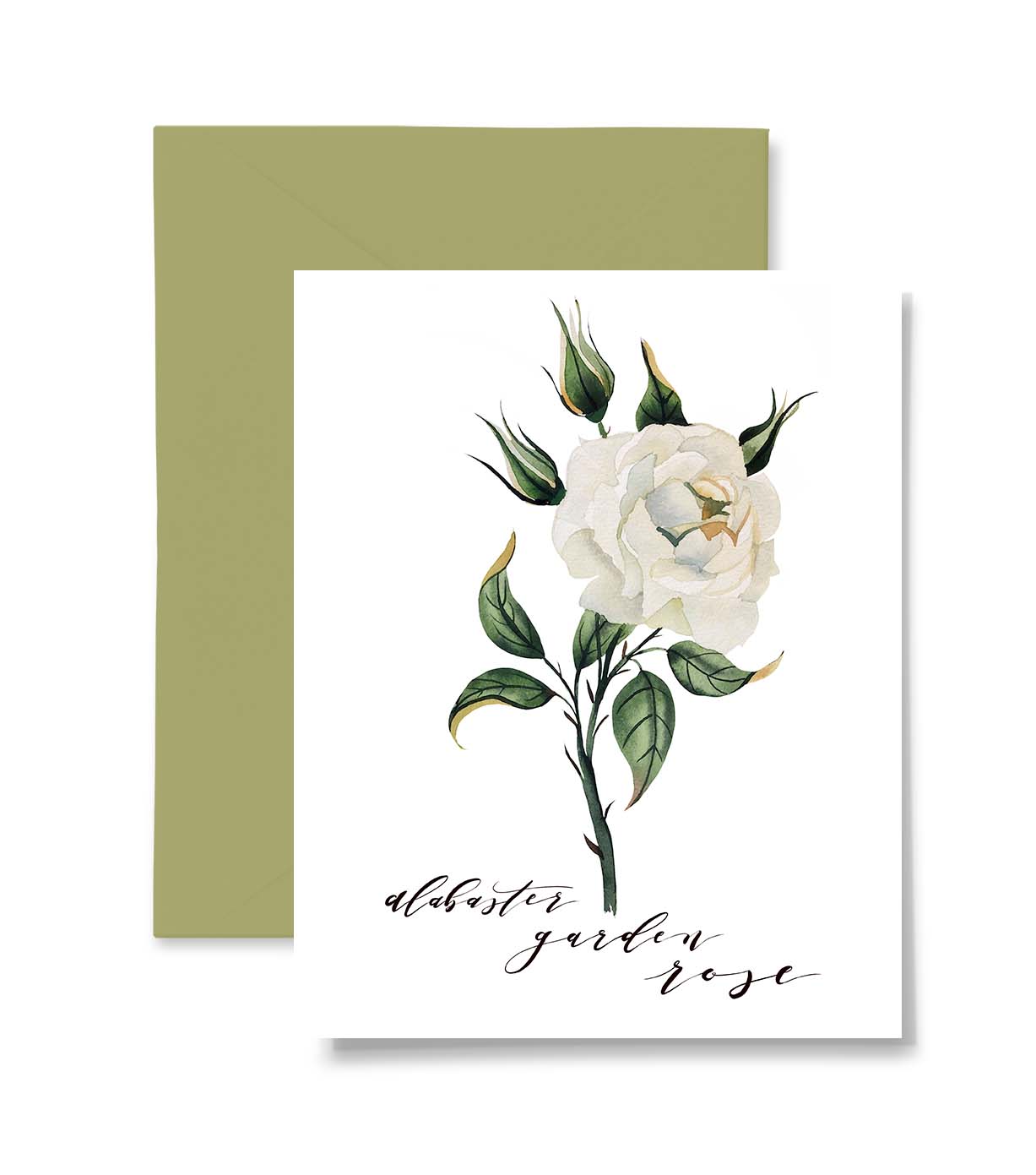 Alabaster Garden Rose Card