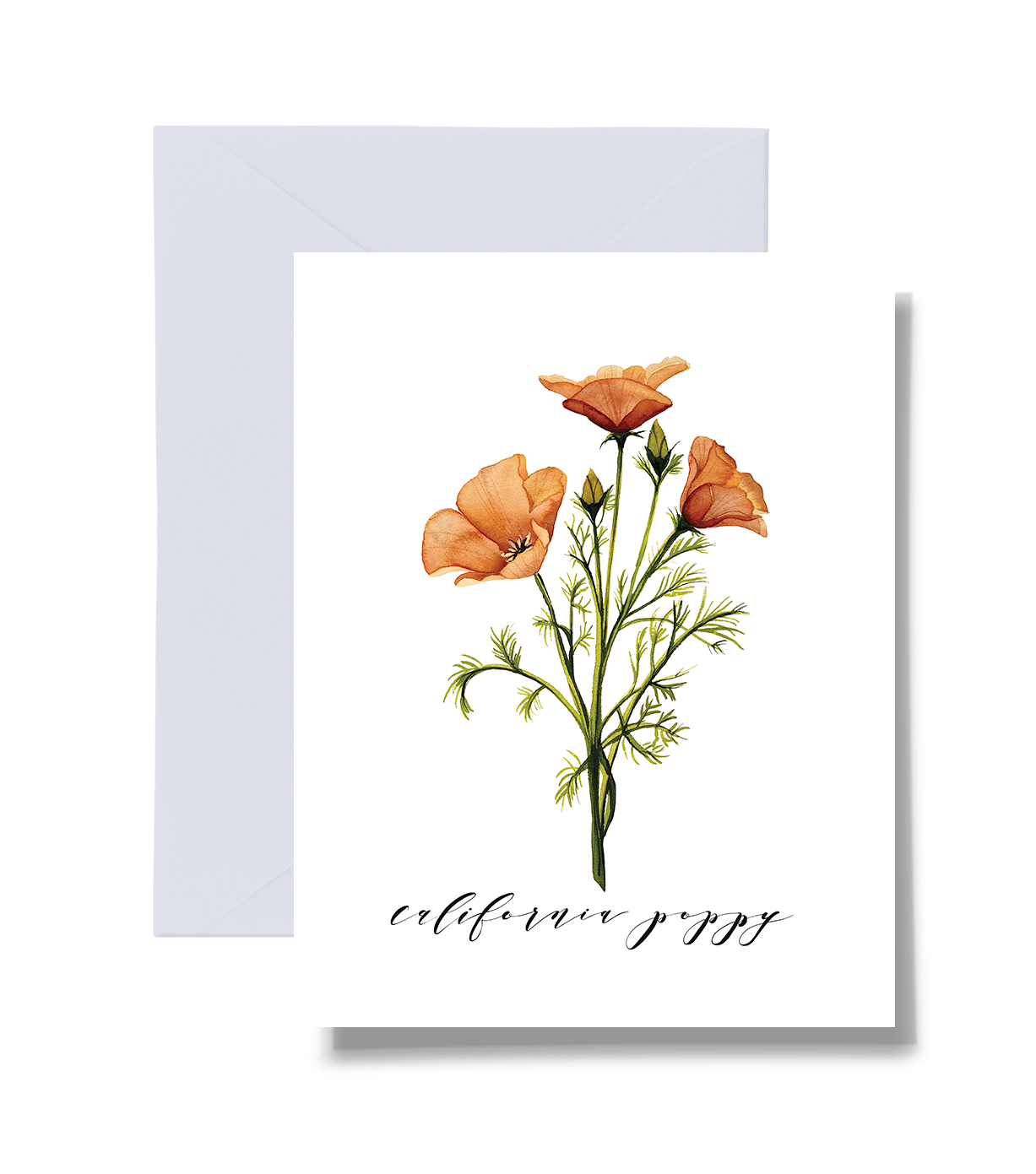 Mixed Bouquet Floral Card Set