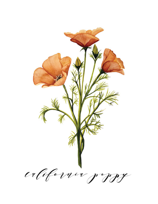California Poppy Card