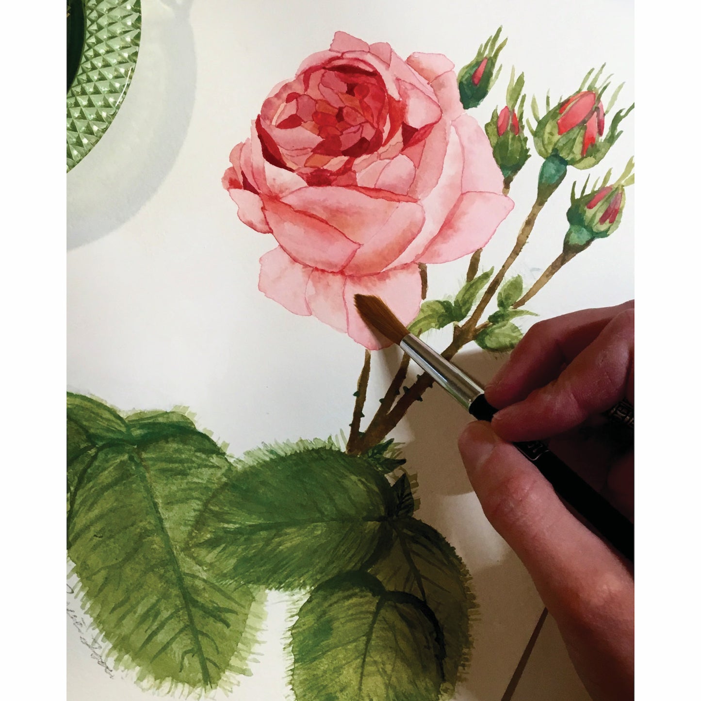 Renaissance Garden Rose Card