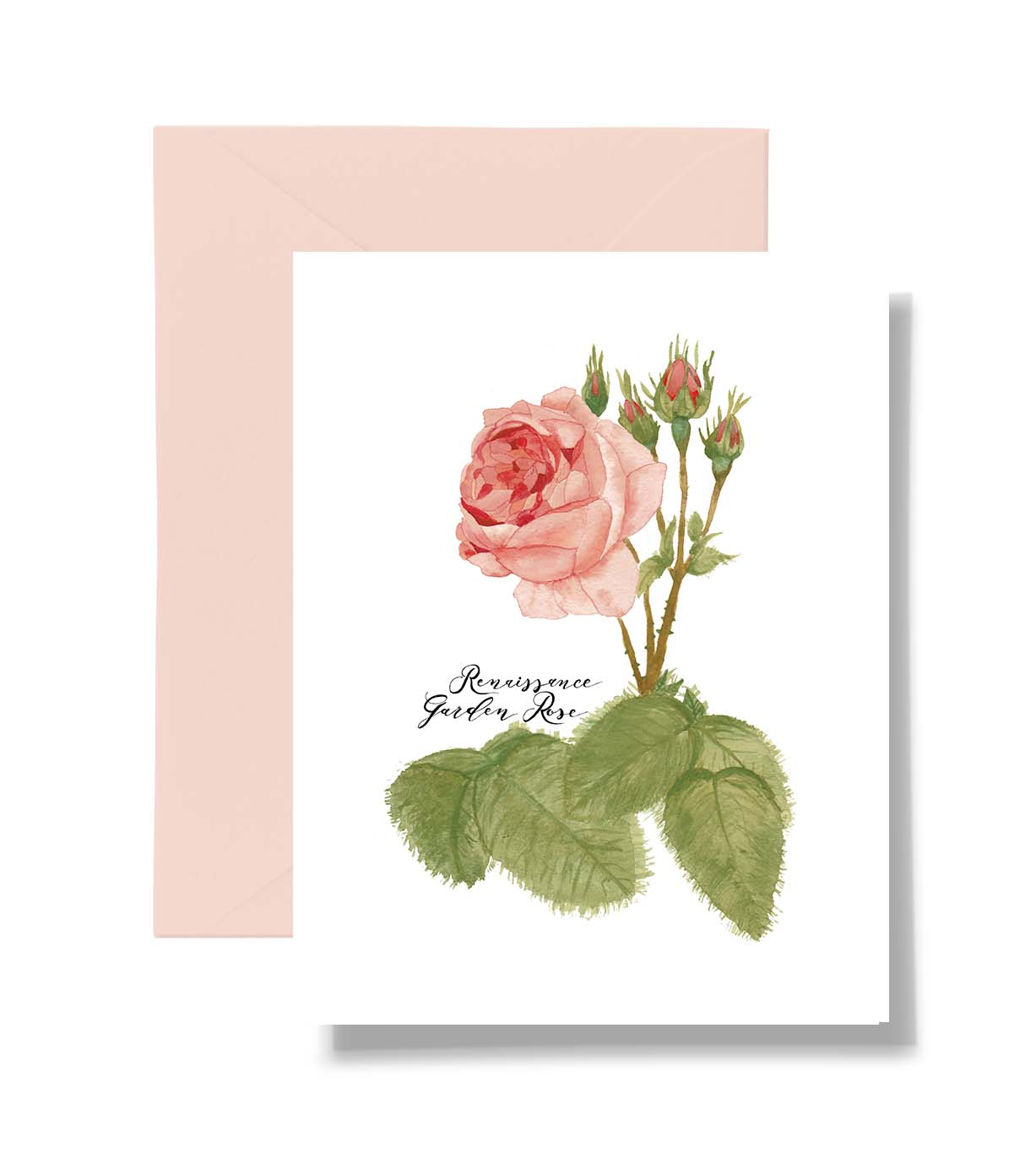 Mixed Bouquet of Peonies & Roses Card Set