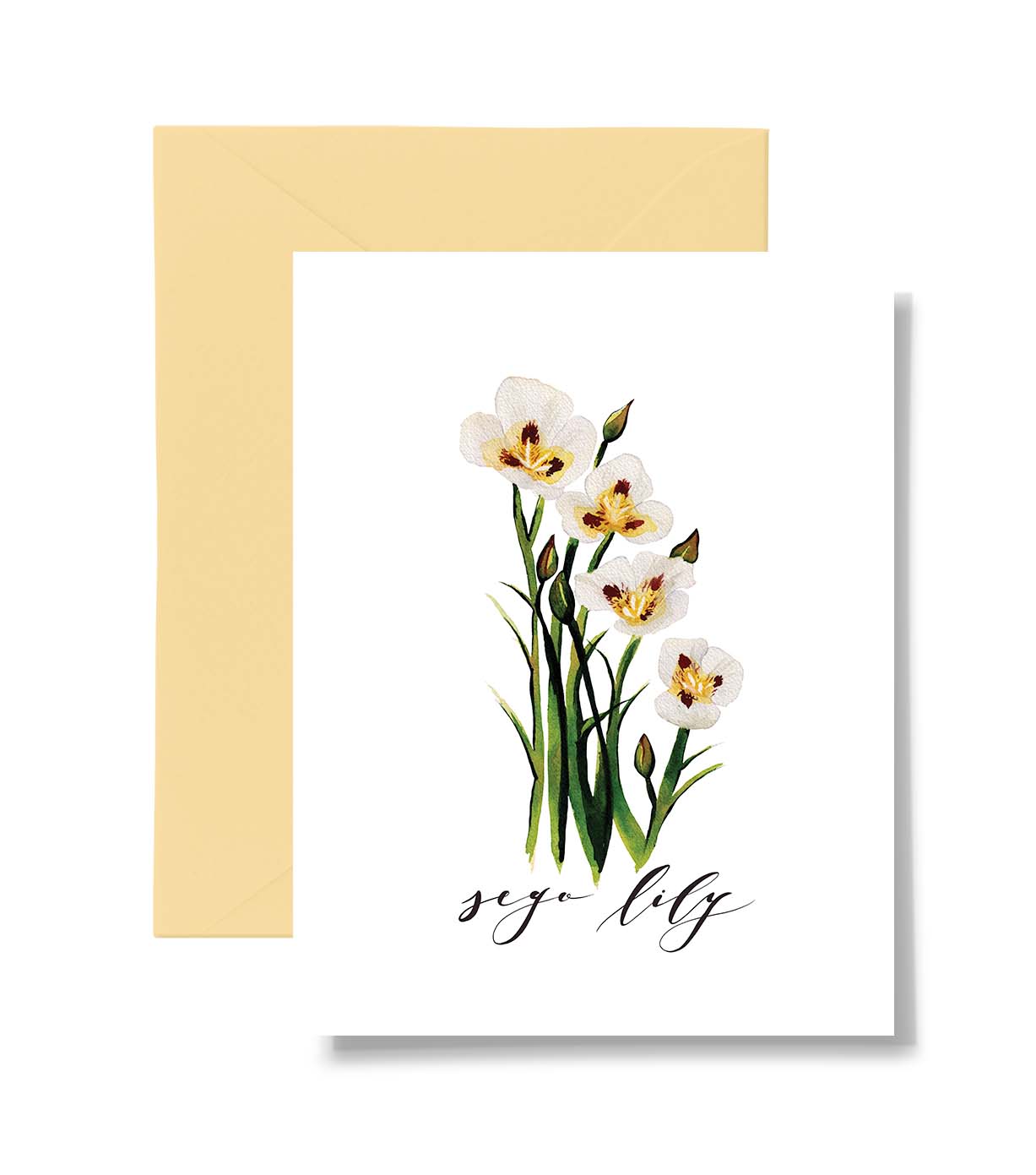 Sego Lily Card