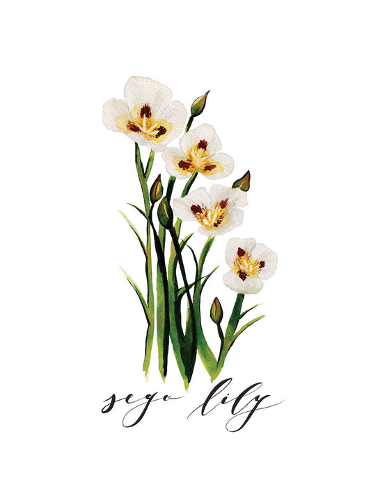 Sego Lily Card