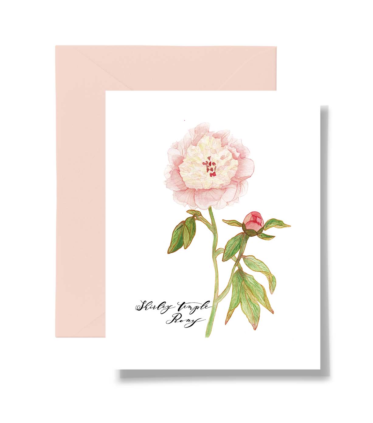 Mixed Bouquet of Peonies & Roses Card Set