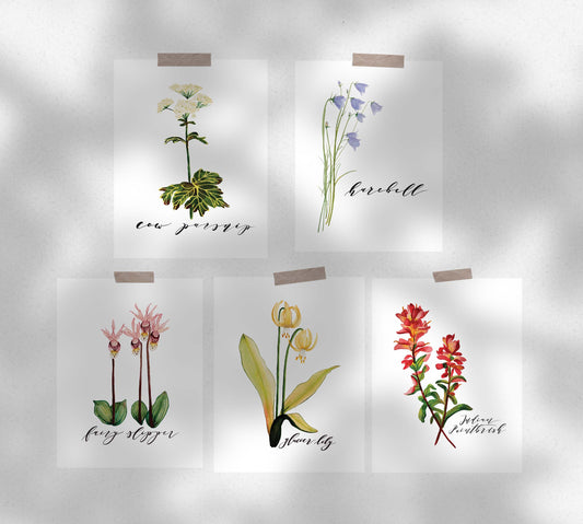 Mixed Bouquet of Wildflowers Card Set One