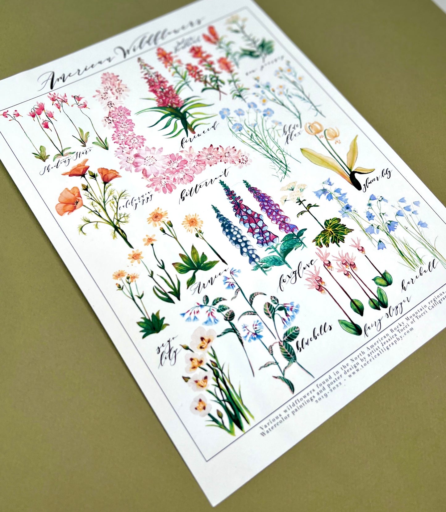 Wildflower Chart Card