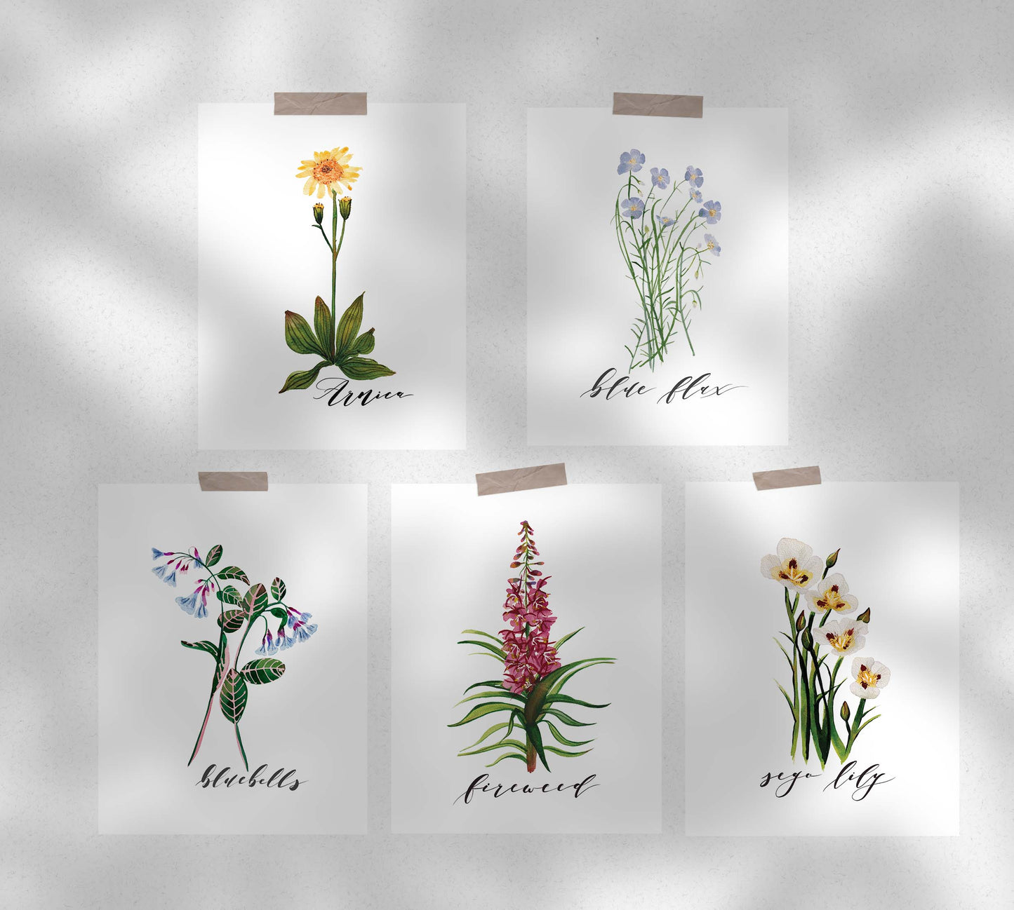 Mixed Bouquet of Wildflowers Card Set Two